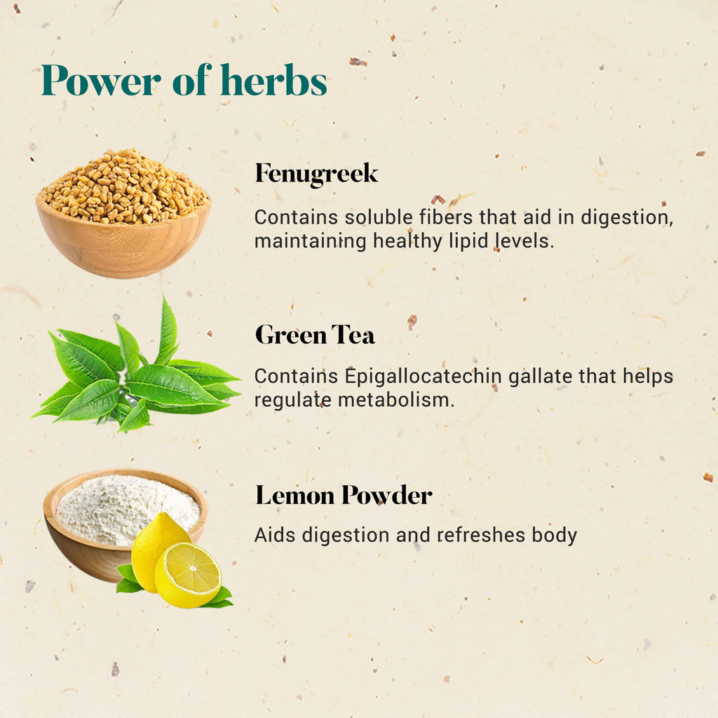 Himalaya Wellness Ayurslim Tea