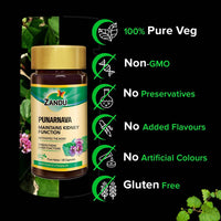 Zandu Punarnava Capsules
