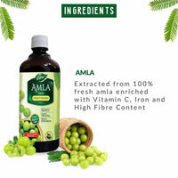 Dabur Amla Juice Immunity Booster - 1 L